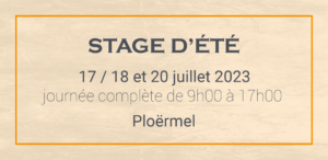 Lire la suite à propos de l’article Stage d’été 2023